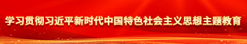 操大屁股屄学习贯彻习近平新时代中国特色社会主义思想主题教育