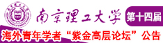 捅欧美大屁股老女南京理工大学第十四届海外青年学者紫金论坛诚邀海内外英才！